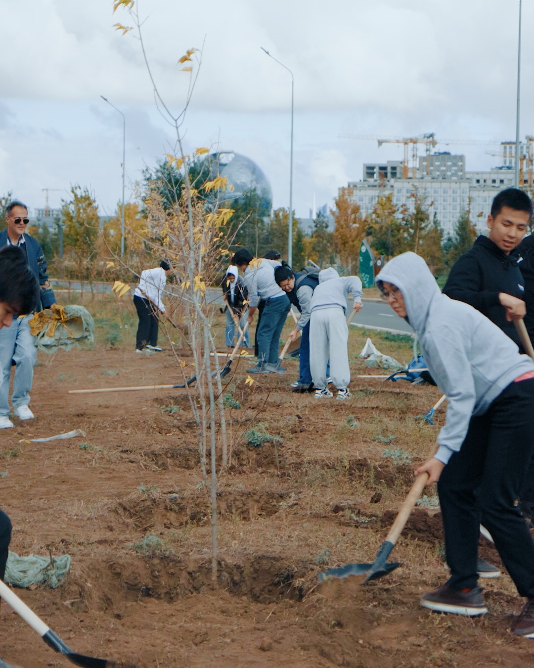 Представители Coventry University Kazakhstan и Ardingly School высадили деревья в рамках «Таза Қазақстан»
