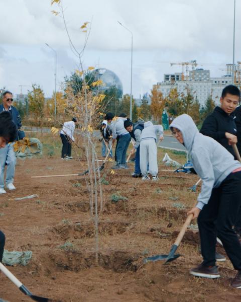 Представители Coventry University Kazakhstan и Ardingly School высадили деревья в рамках «Таза Қазақстан»